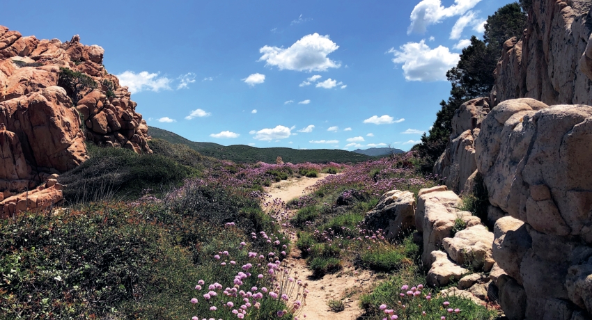 Isola Rossa 2 - Wanderreise Sardinien Flug Olbia